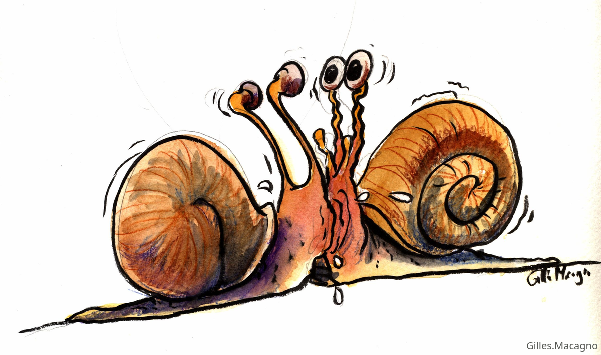 escargots